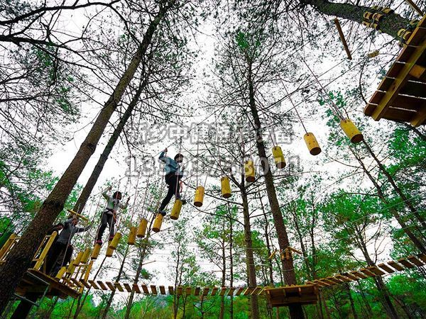 叢林穿越設備的搭建對環境有影響嗎？